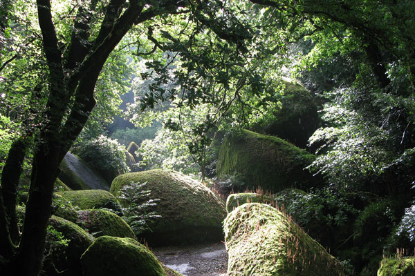 Forêt Huelgoat